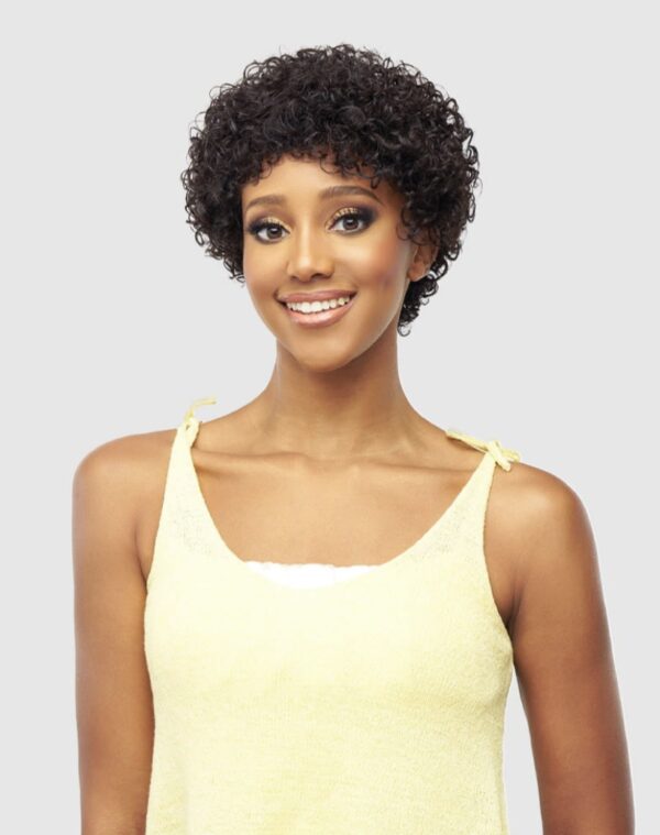 VANESSA VIXEN HUMAN HAIR WIG - HH FALCONY - Image 2