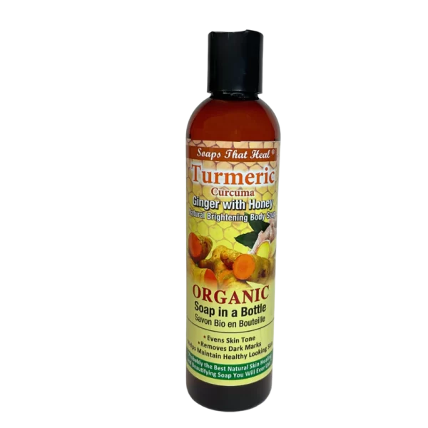 Oilblends Soaps That Heal Turmeric Ginger with Honey Body Wash